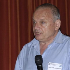 Alexander Gabovich at ES&ES 2013